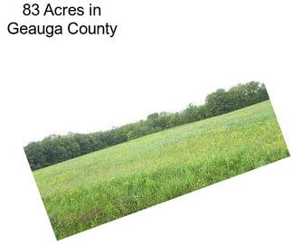 83 Acres in Geauga County