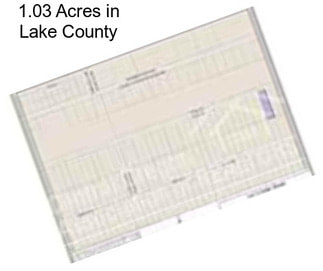 1.03 Acres in Lake County