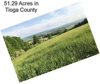 51.29 Acres in Tioga County