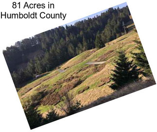 81 Acres in Humboldt County