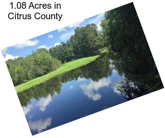 1.08 Acres in Citrus County