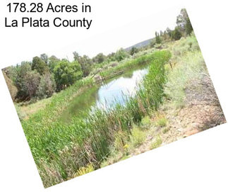 178.28 Acres in La Plata County