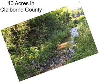 40 Acres in Claiborne County