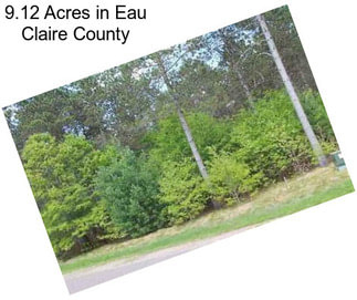 9.12 Acres in Eau Claire County