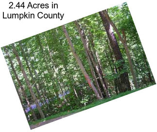 2.44 Acres in Lumpkin County