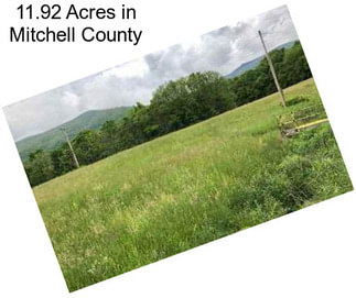 11.92 Acres in Mitchell County