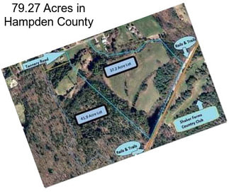 79.27 Acres in Hampden County