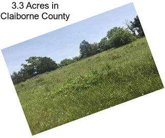 3.3 Acres in Claiborne County