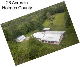 28 Acres in Holmes County