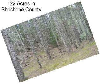 122 Acres in Shoshone County