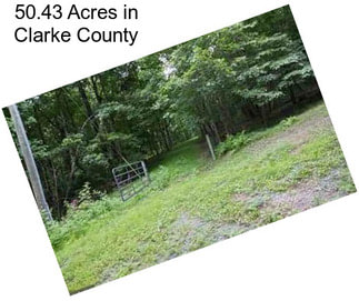 50.43 Acres in Clarke County