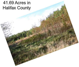 41.69 Acres in Halifax County