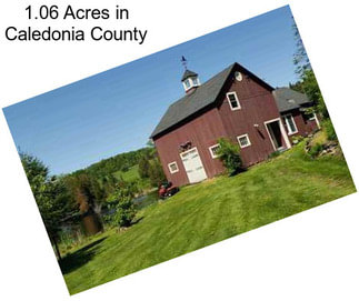 1.06 Acres in Caledonia County
