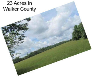 23 Acres in Walker County