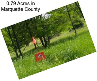 0.79 Acres in Marquette County