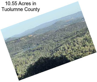 10.55 Acres in Tuolumne County