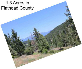 1.3 Acres in Flathead County