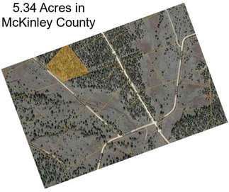 5.34 Acres in McKinley County