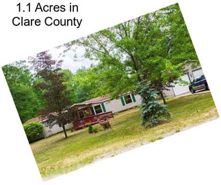 1.1 Acres in Clare County