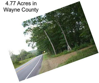 4.77 Acres in Wayne County