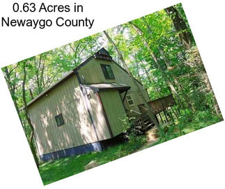 0.63 Acres in Newaygo County