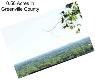 0.58 Acres in Greenville County