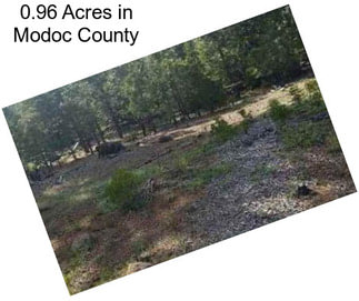 0.96 Acres in Modoc County