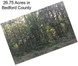 26.75 Acres in Bedford County