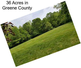36 Acres in Greene County