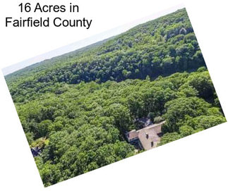 16 Acres in Fairfield County