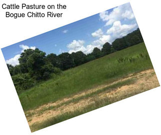 Cattle Pasture on the Bogue Chitto River