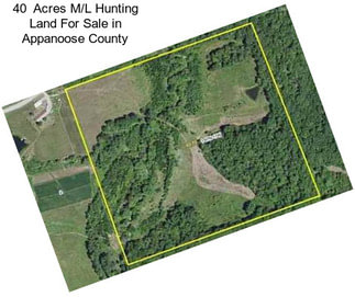 40  Acres M/L Hunting Land For Sale in Appanoose County