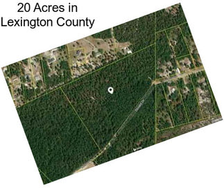 20 Acres in Lexington County