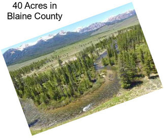 40 Acres in Blaine County