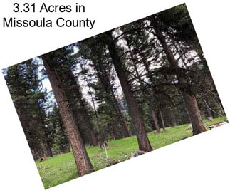 3.31 Acres in Missoula County