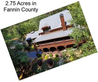 2.75 Acres in Fannin County