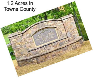 1.2 Acres in Towns County