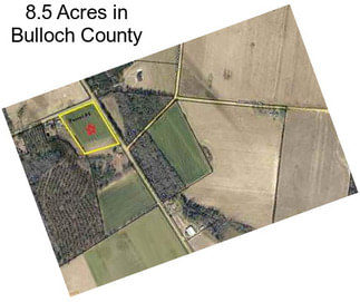 8.5 Acres in Bulloch County