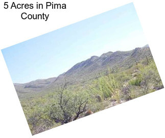 5 Acres in Pima County