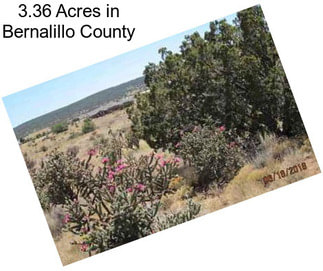 3.36 Acres in Bernalillo County