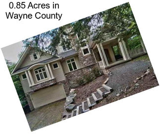 0.85 Acres in Wayne County