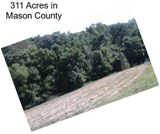 311 Acres in Mason County