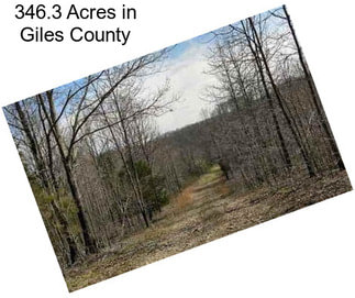 346.3 Acres in Giles County