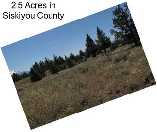 2.5 Acres in Siskiyou County