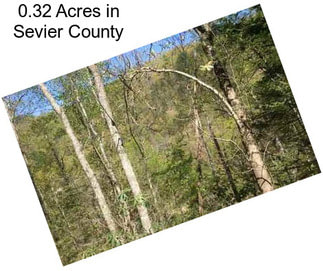 0.32 Acres in Sevier County