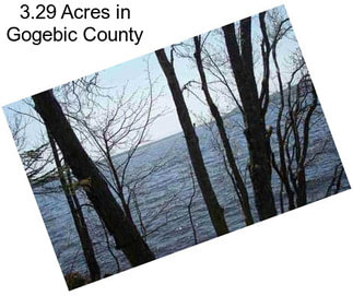 3.29 Acres in Gogebic County