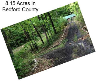 8.15 Acres in Bedford County