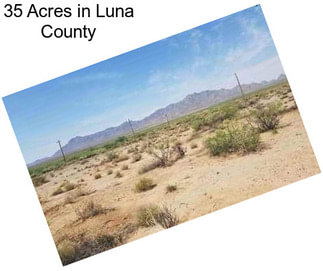 35 Acres in Luna County