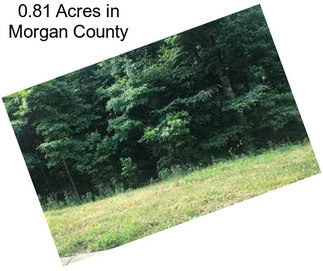 0.81 Acres in Morgan County