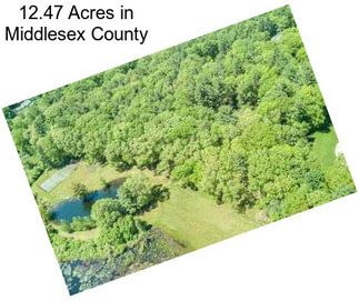 12.47 Acres in Middlesex County